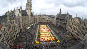 Flower Carpet 2016_14